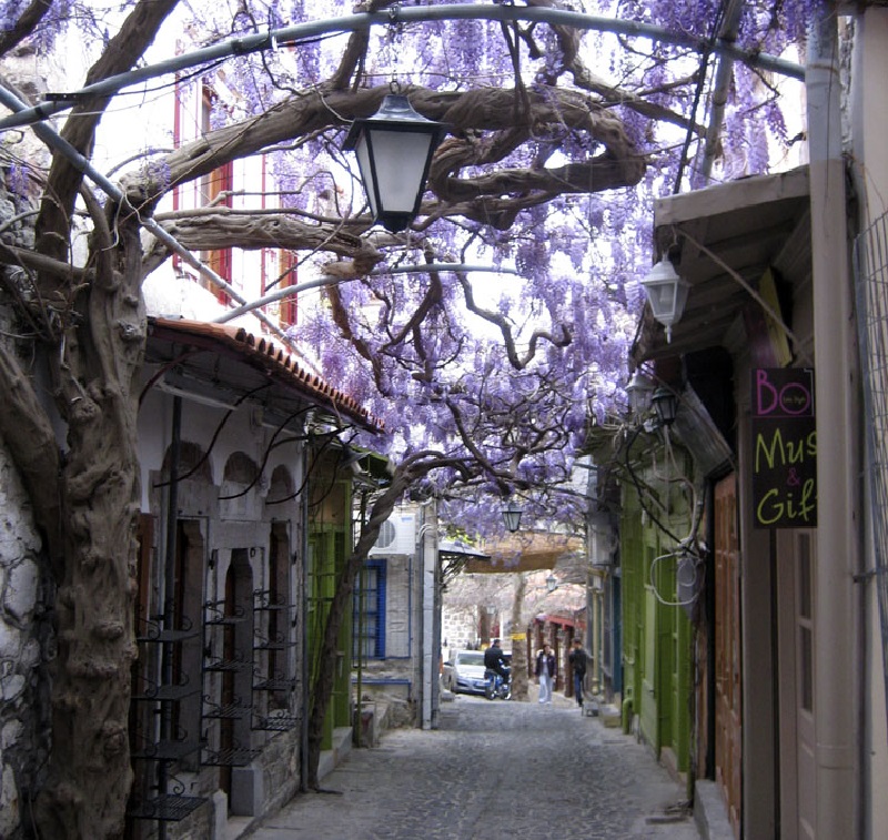 Molyvos