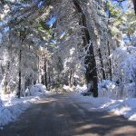 Parnitha National Park a