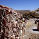 Petrified Forests of Lesbos a